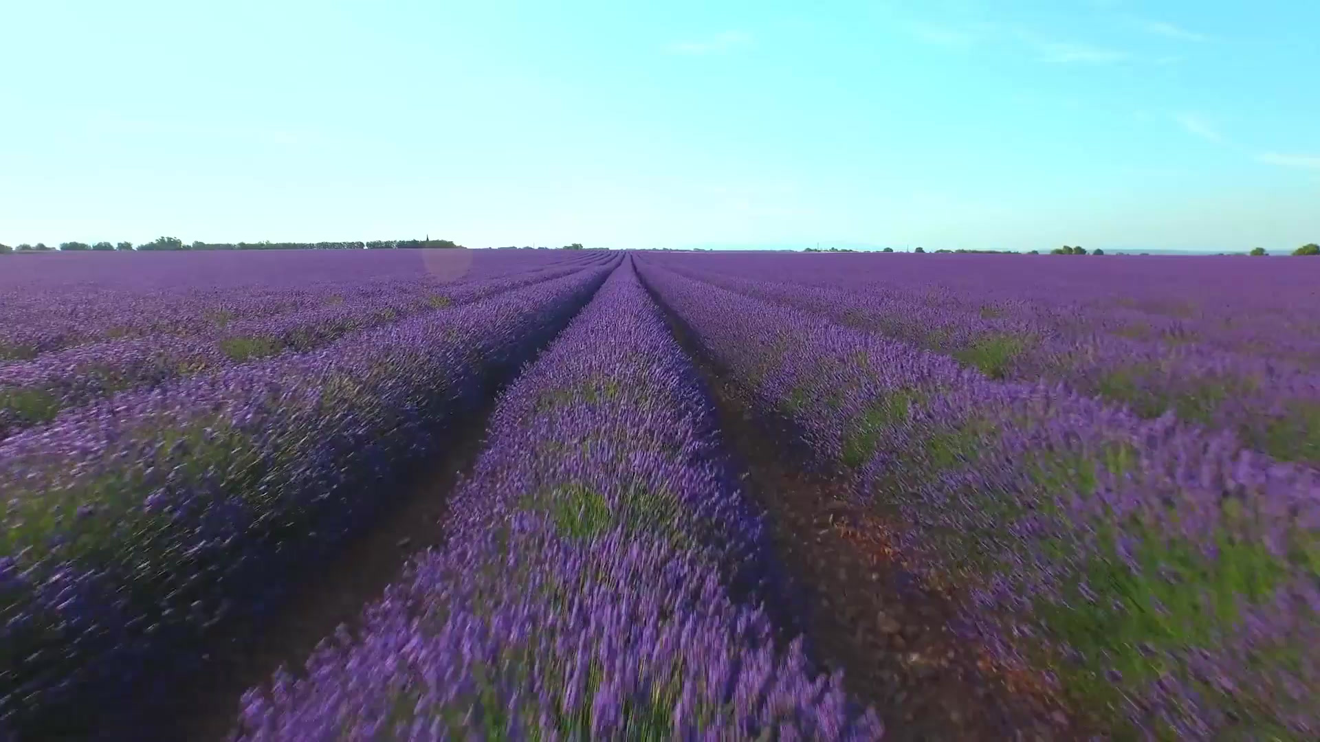 エステサロン リーフ